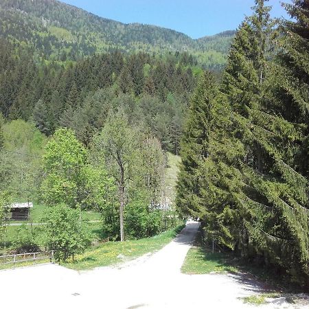 Klass 203 Kranjska Gora Buitenkant foto