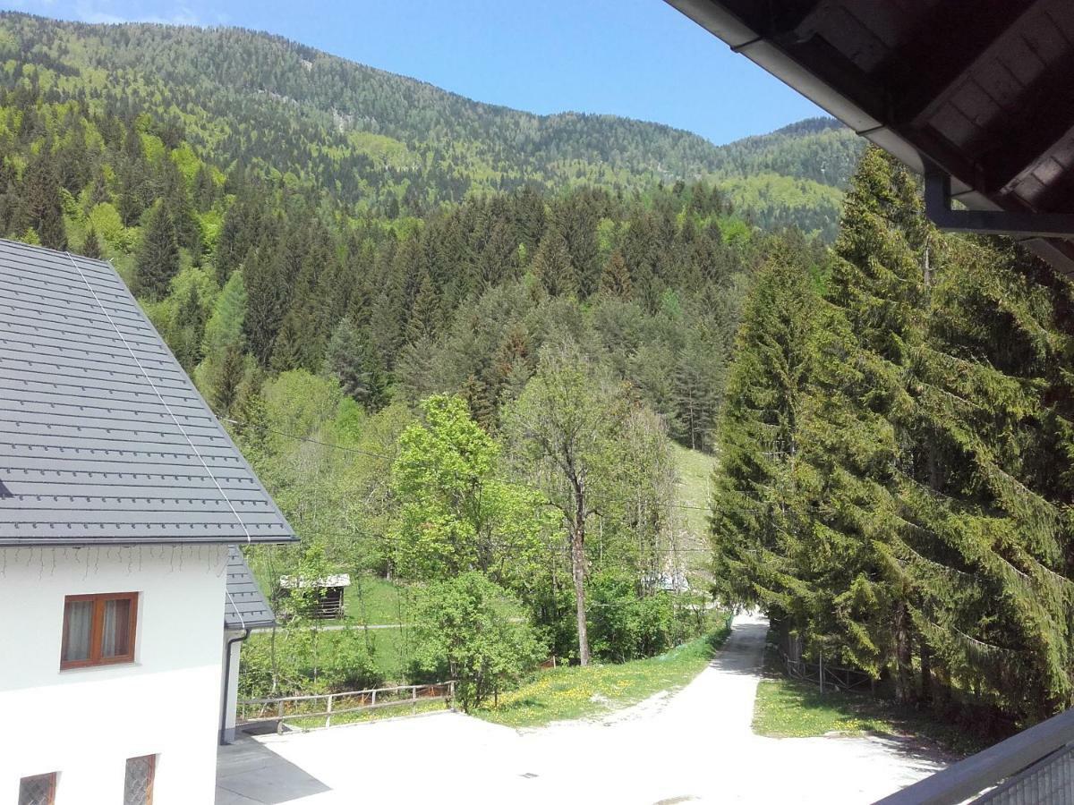 Klass 203 Kranjska Gora Buitenkant foto