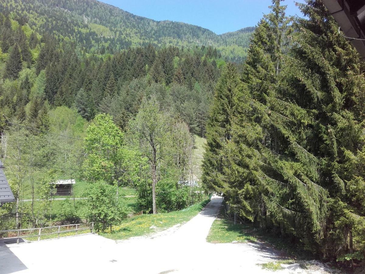 Klass 203 Kranjska Gora Buitenkant foto